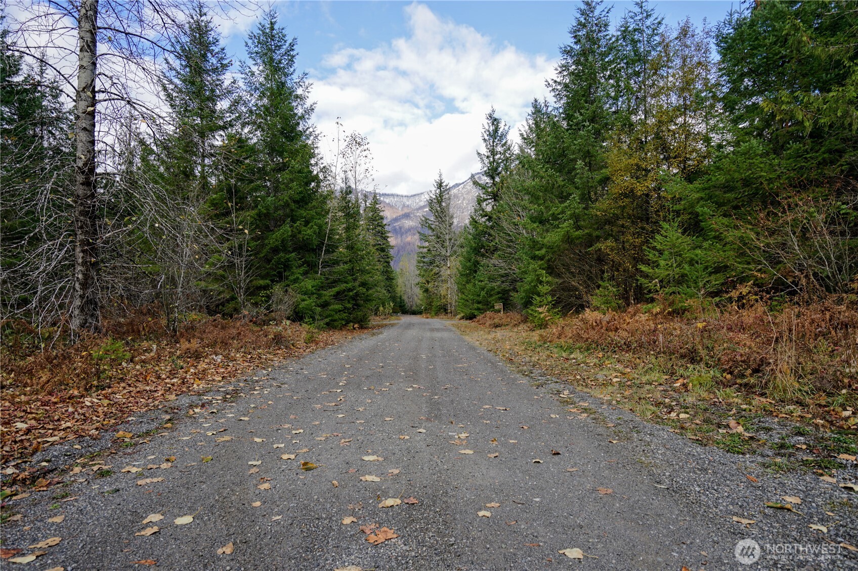 12808 698th Avenue NE