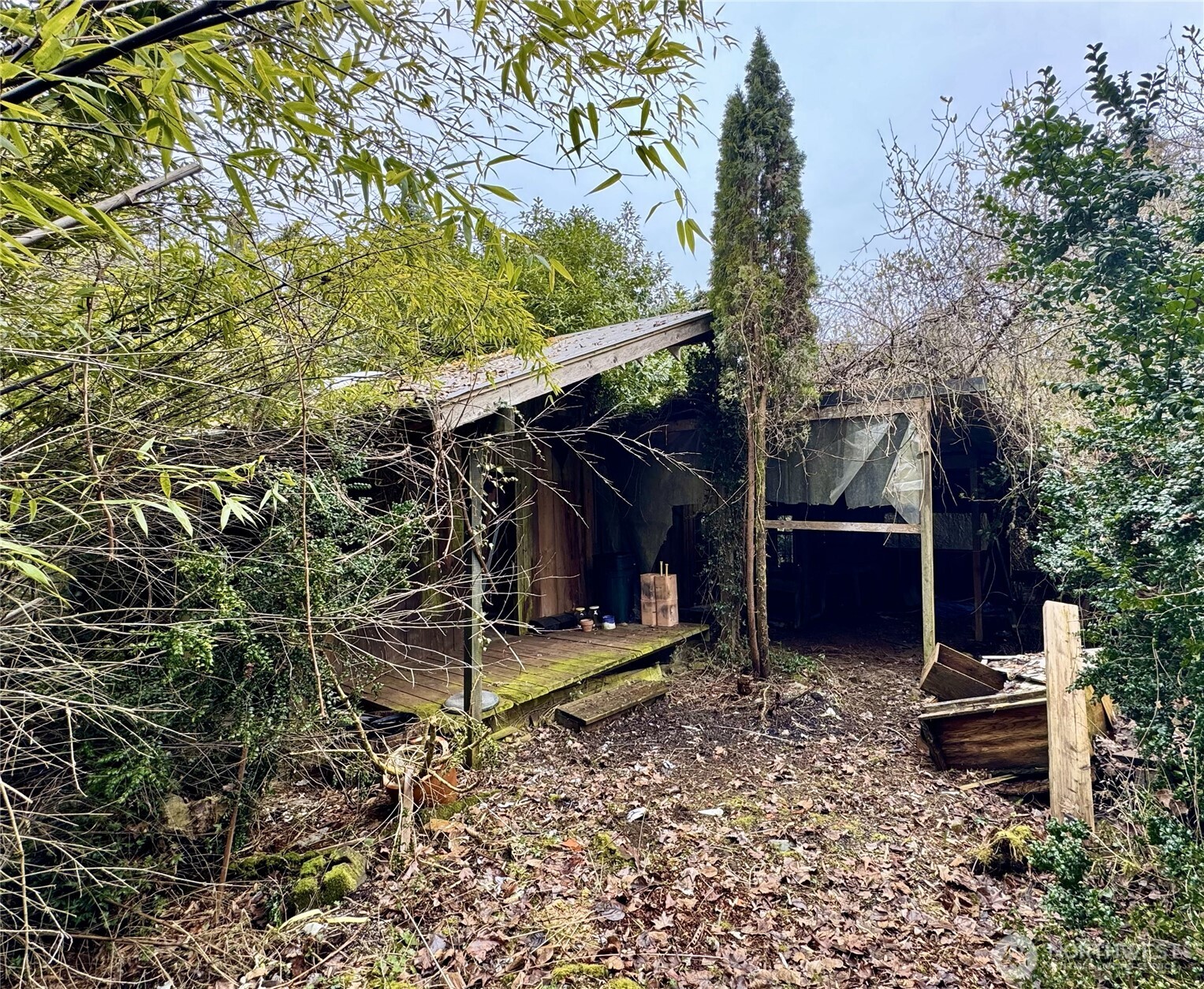 7513 Robe Menzel Road