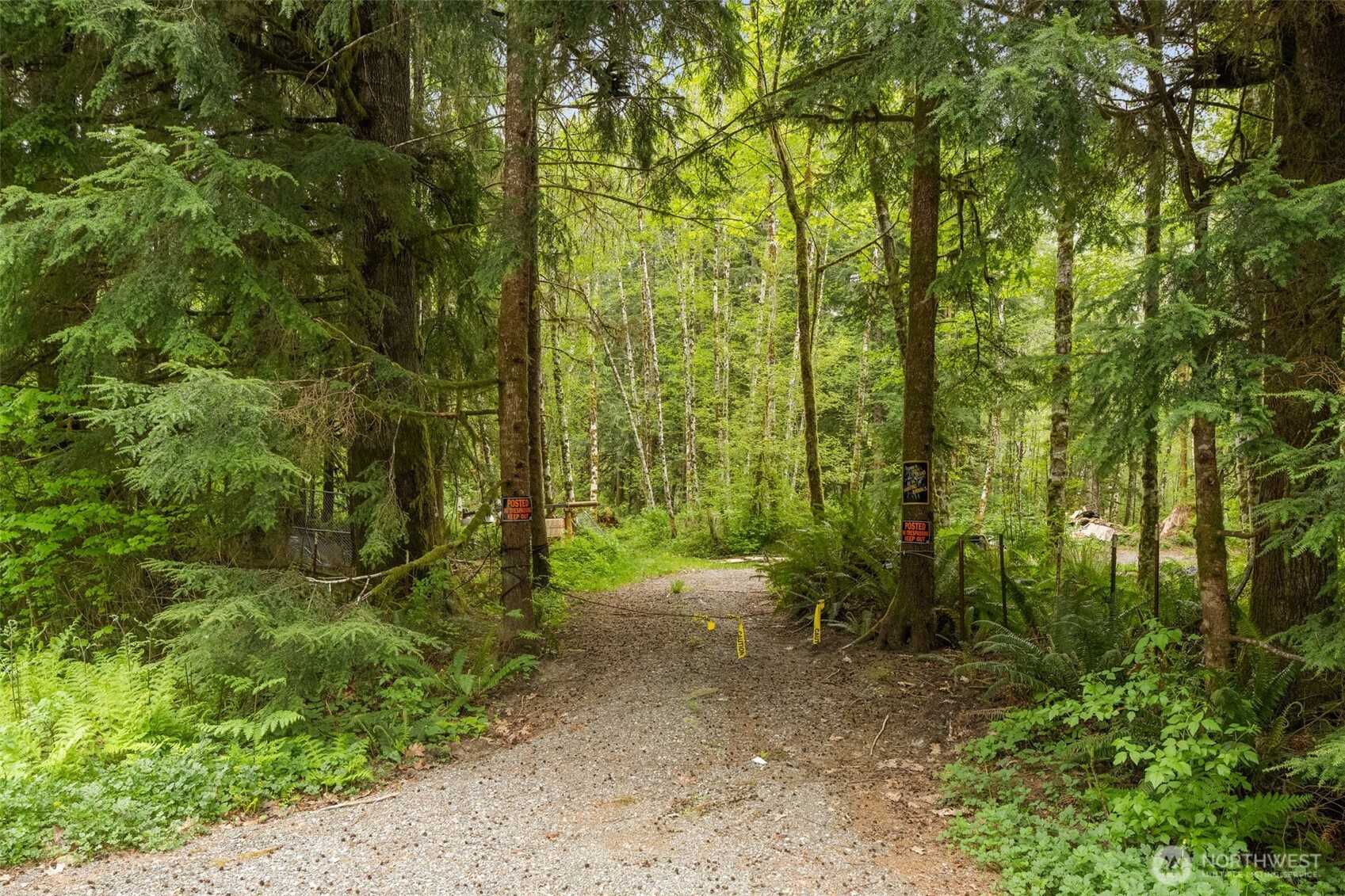 31212 Mountain Loop Highway