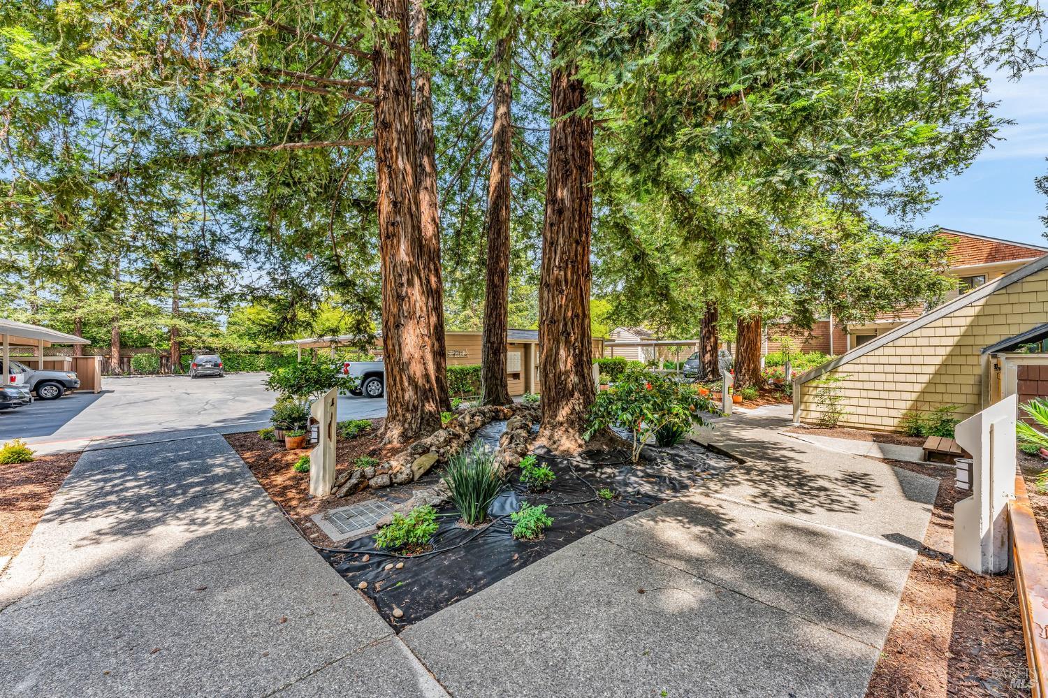 901 Russell Ave #212