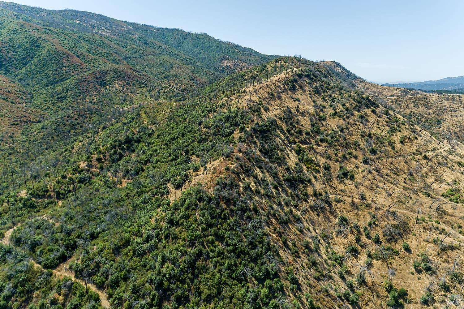 5950 State Highway 128