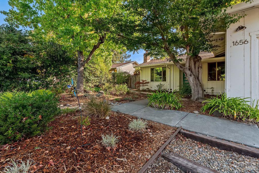 1656 Javore Drive