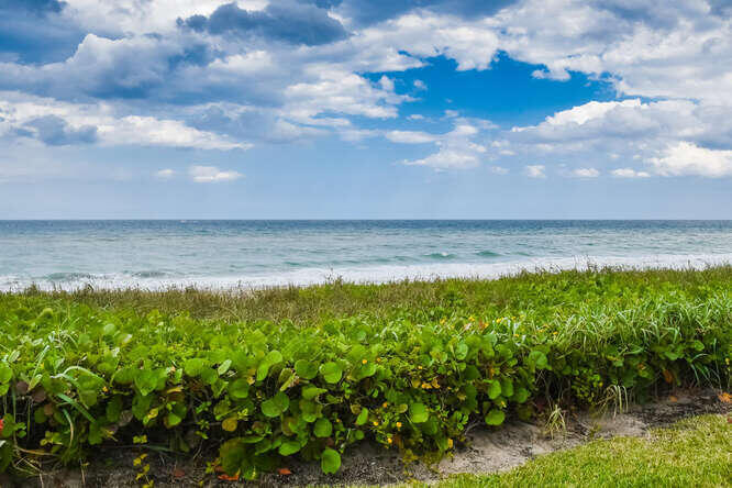 2660 S Ocean Boulevard 203s