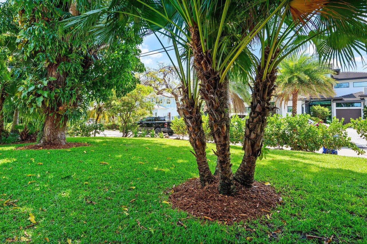 541 SW 9th Terrace