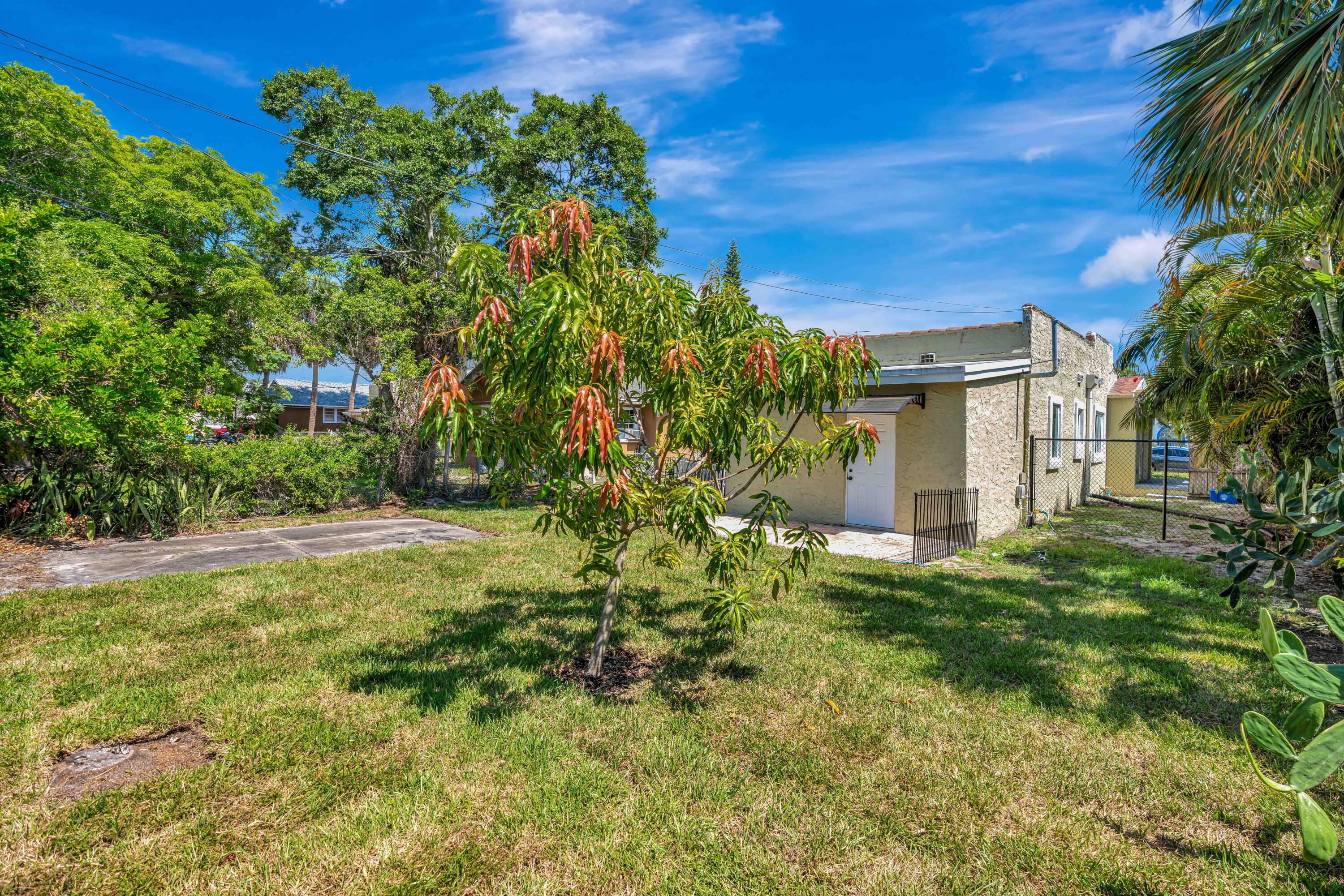 Single-story stucco and stone house behind a grassy yard with tropical landscaping and a young tree.