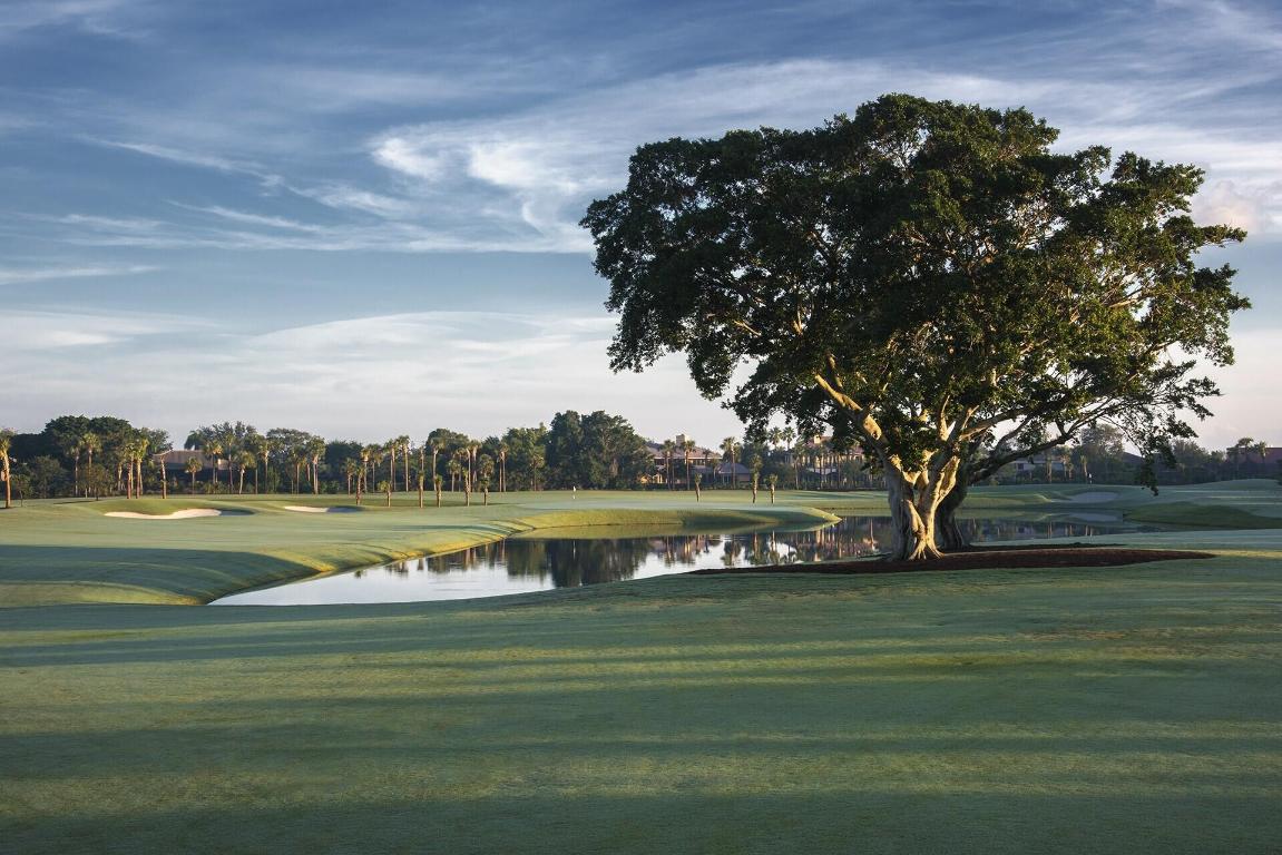 3038 Safflower Circle