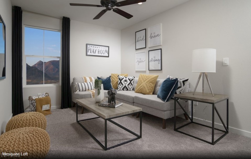 6723 Marjoram Street lot 245