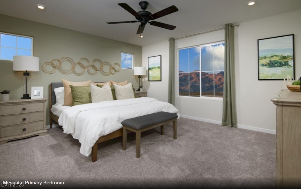 6723 Marjoram Street lot 245