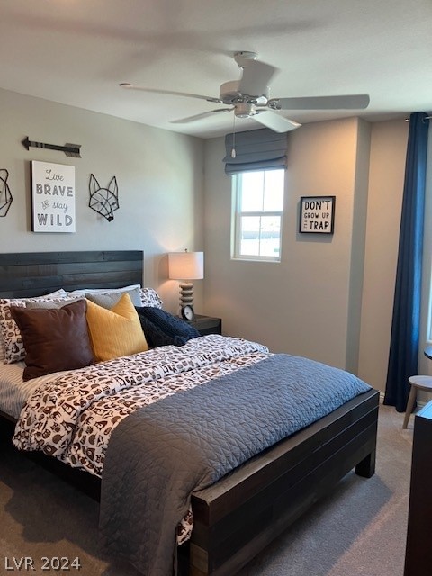 10949 Sageview Avenue lot 210
