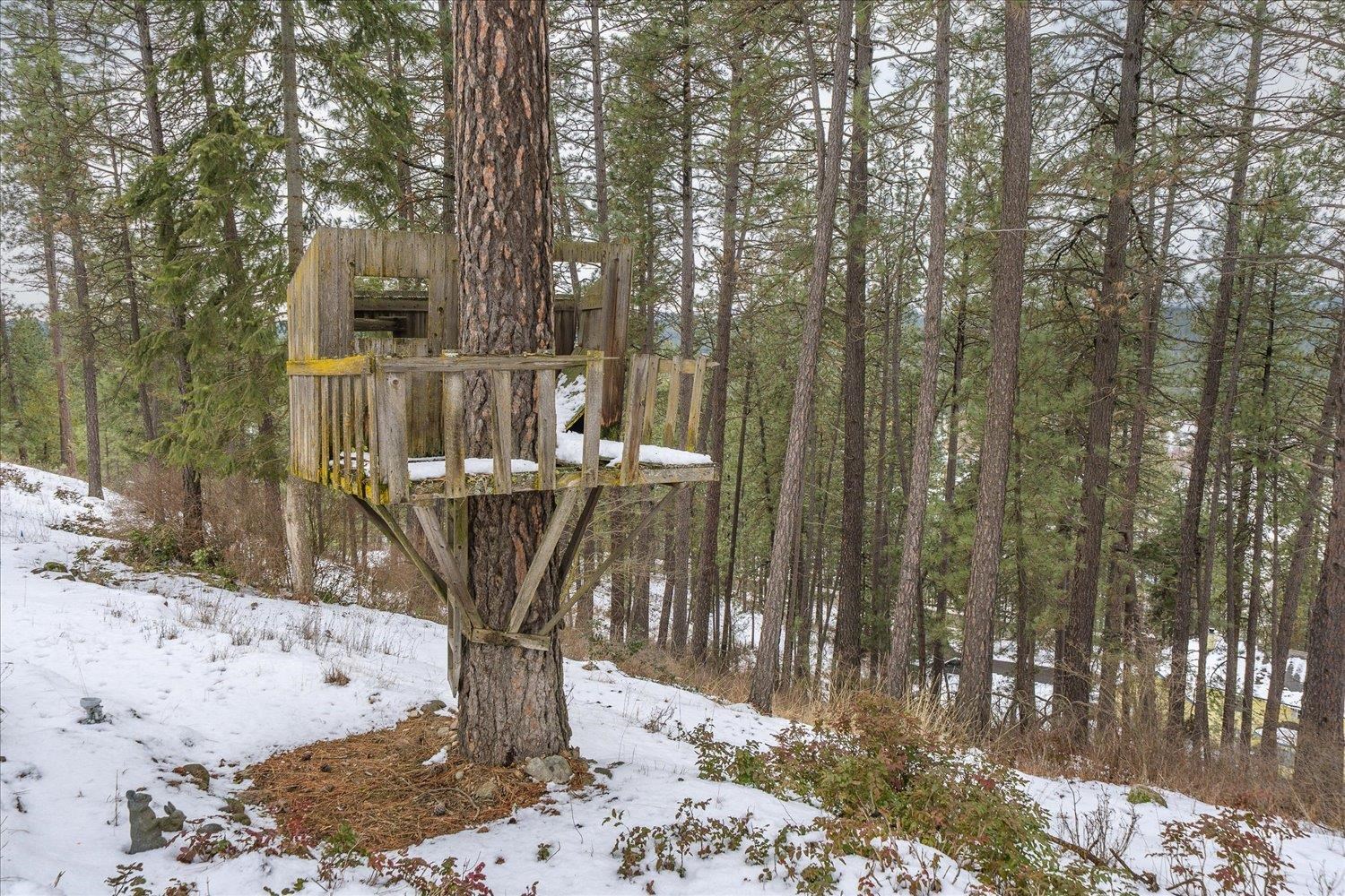 22221 N North Glen Ct