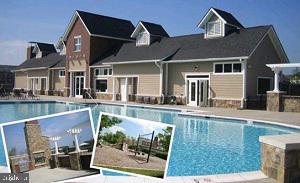 22796 Tawny Pine Sq