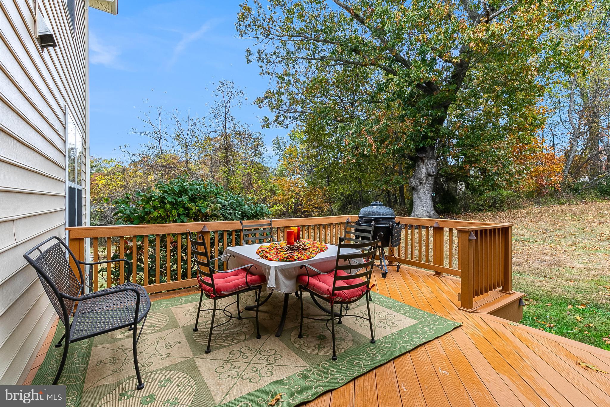 40390 ALDIE SPRINGS DRIVE