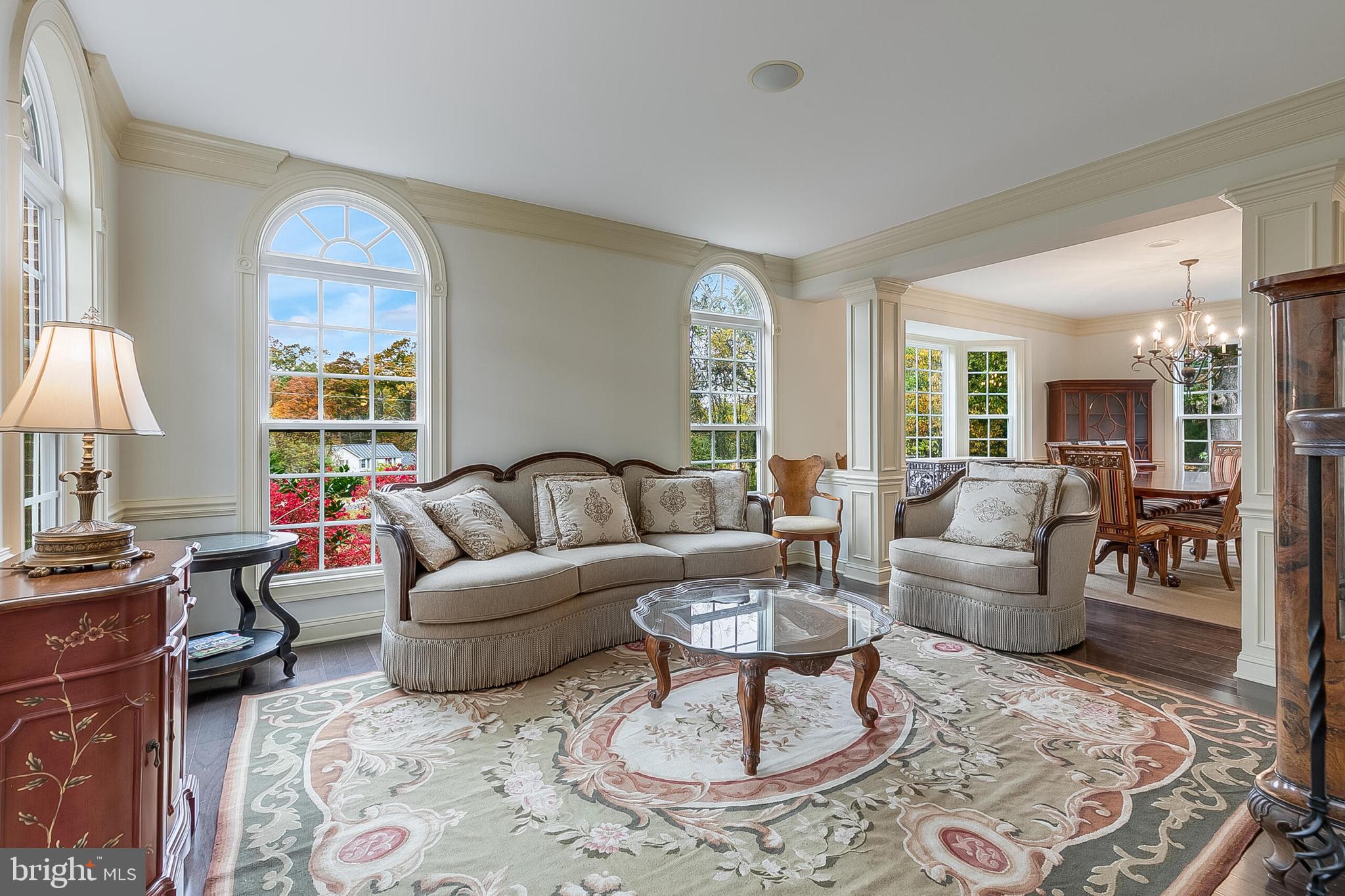 40390 ALDIE SPRINGS DRIVE