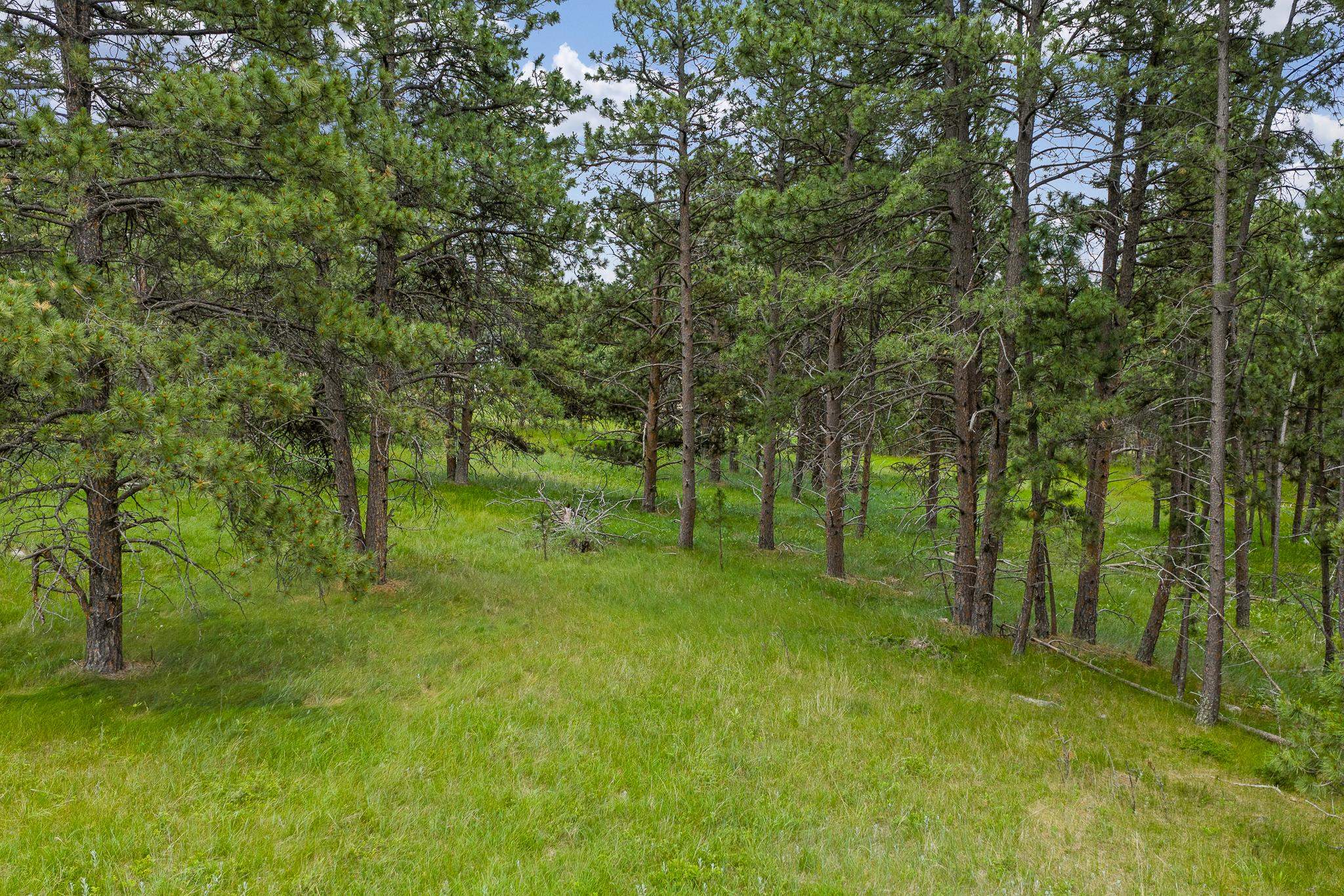 TBD Lot 1 Sun Ridge Road