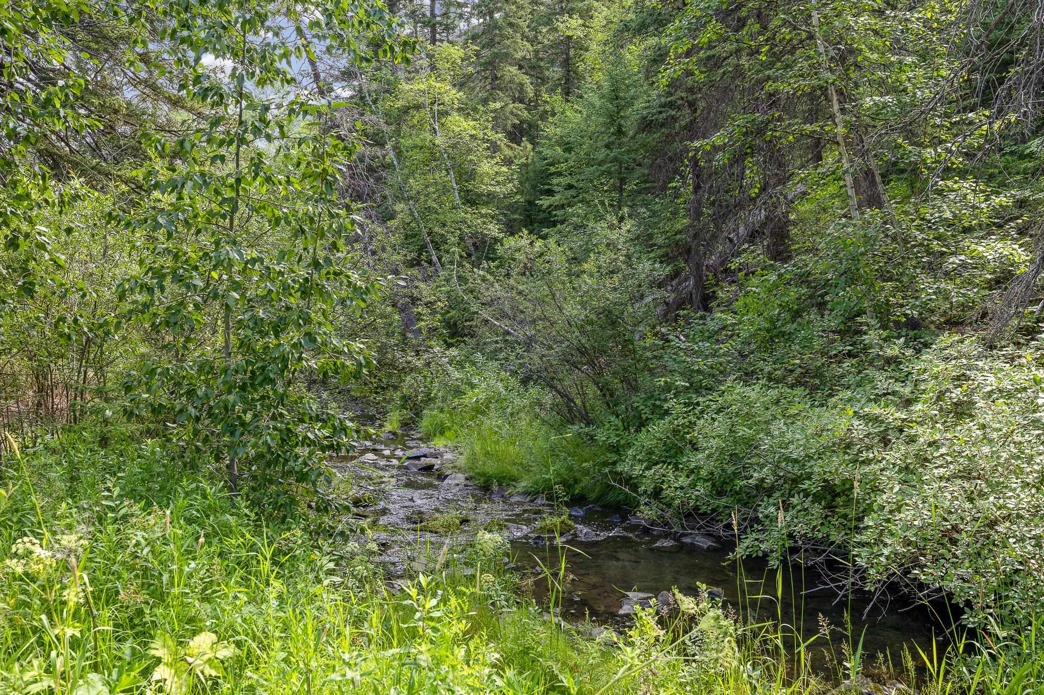 24268 Highway 16/385