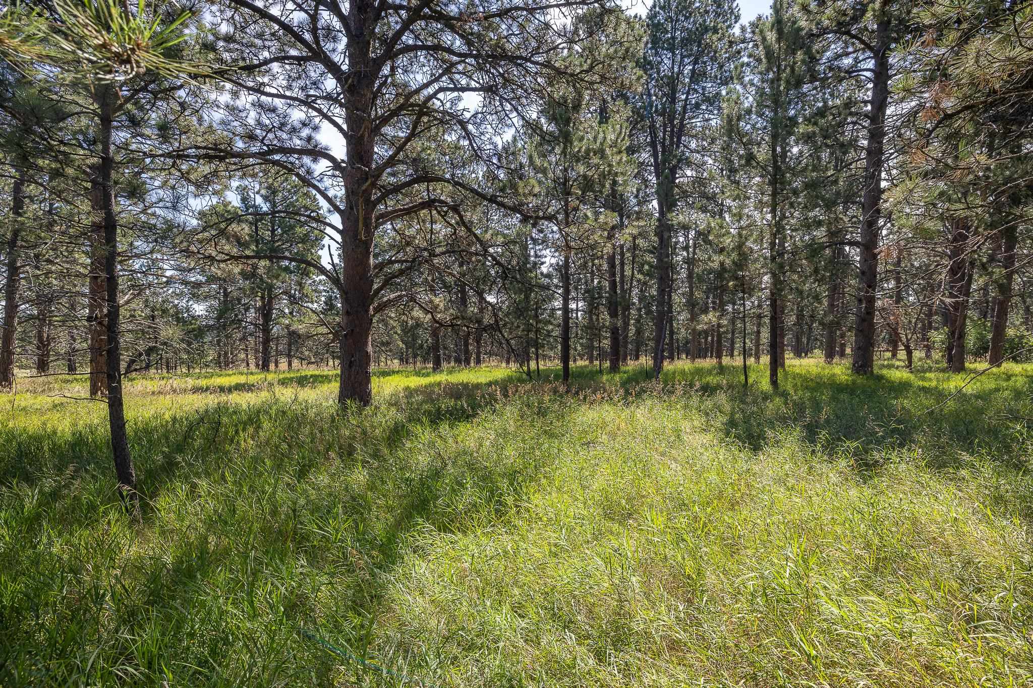 22584 Lightning Ridge Road