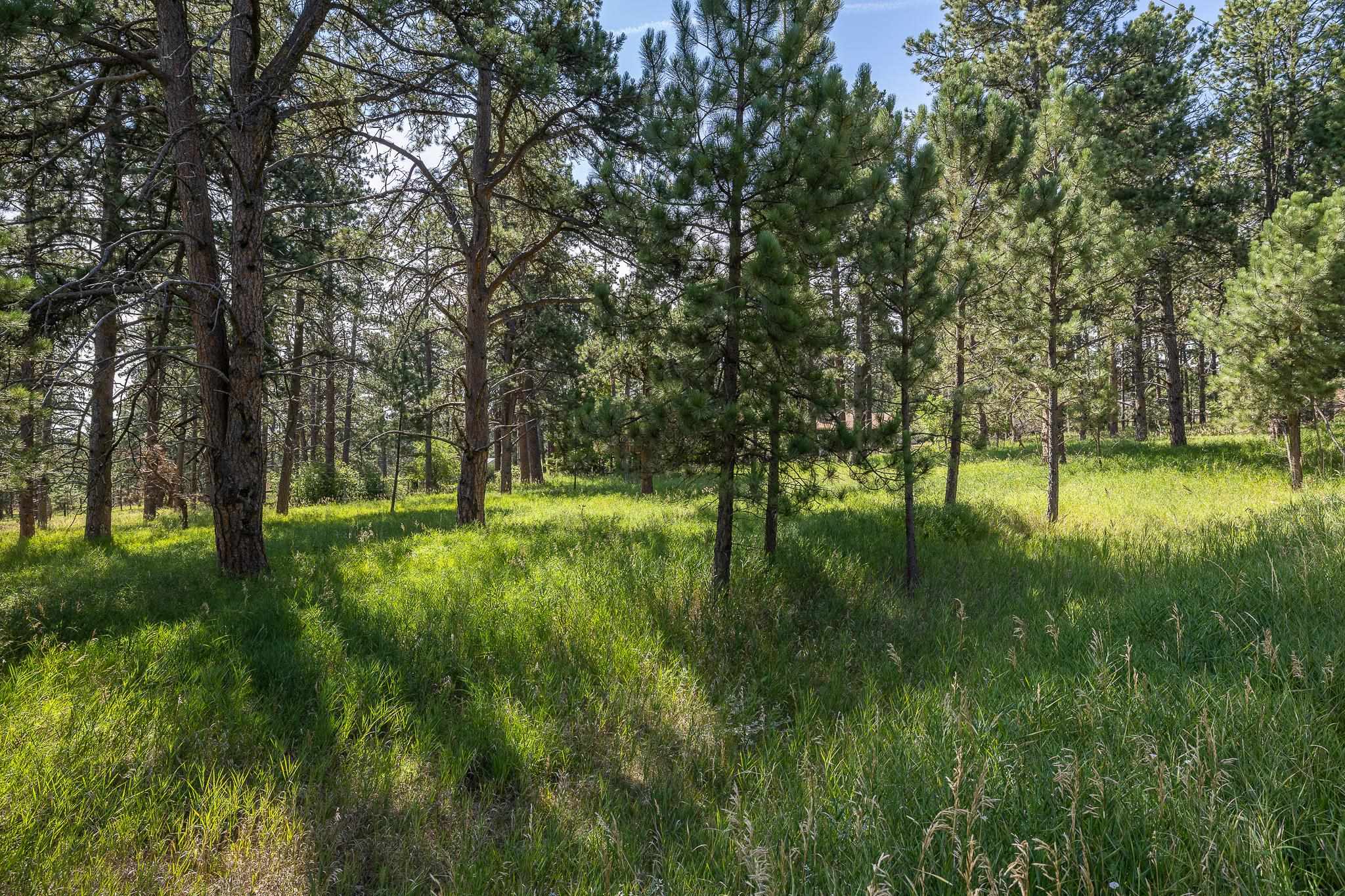 22584 Lightning Ridge Road