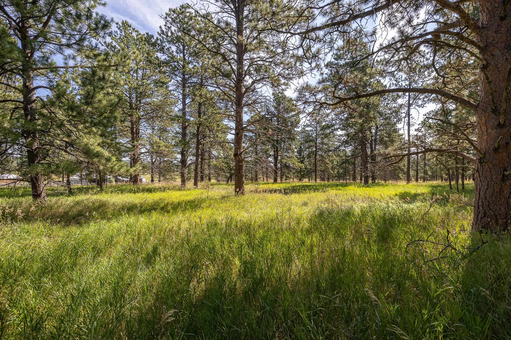 22584 Lightning Ridge Road