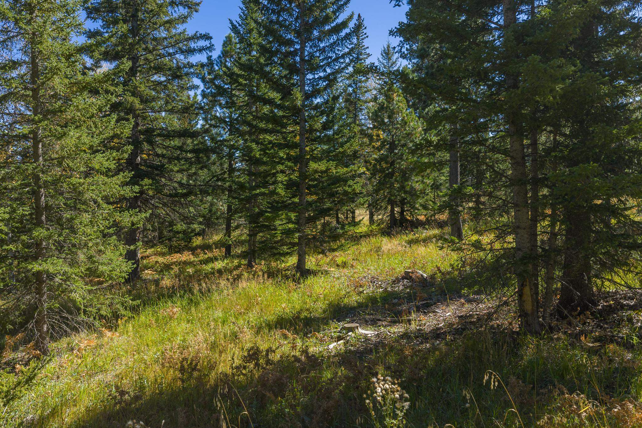 TBD Lot 35 Smokey Stoke Court