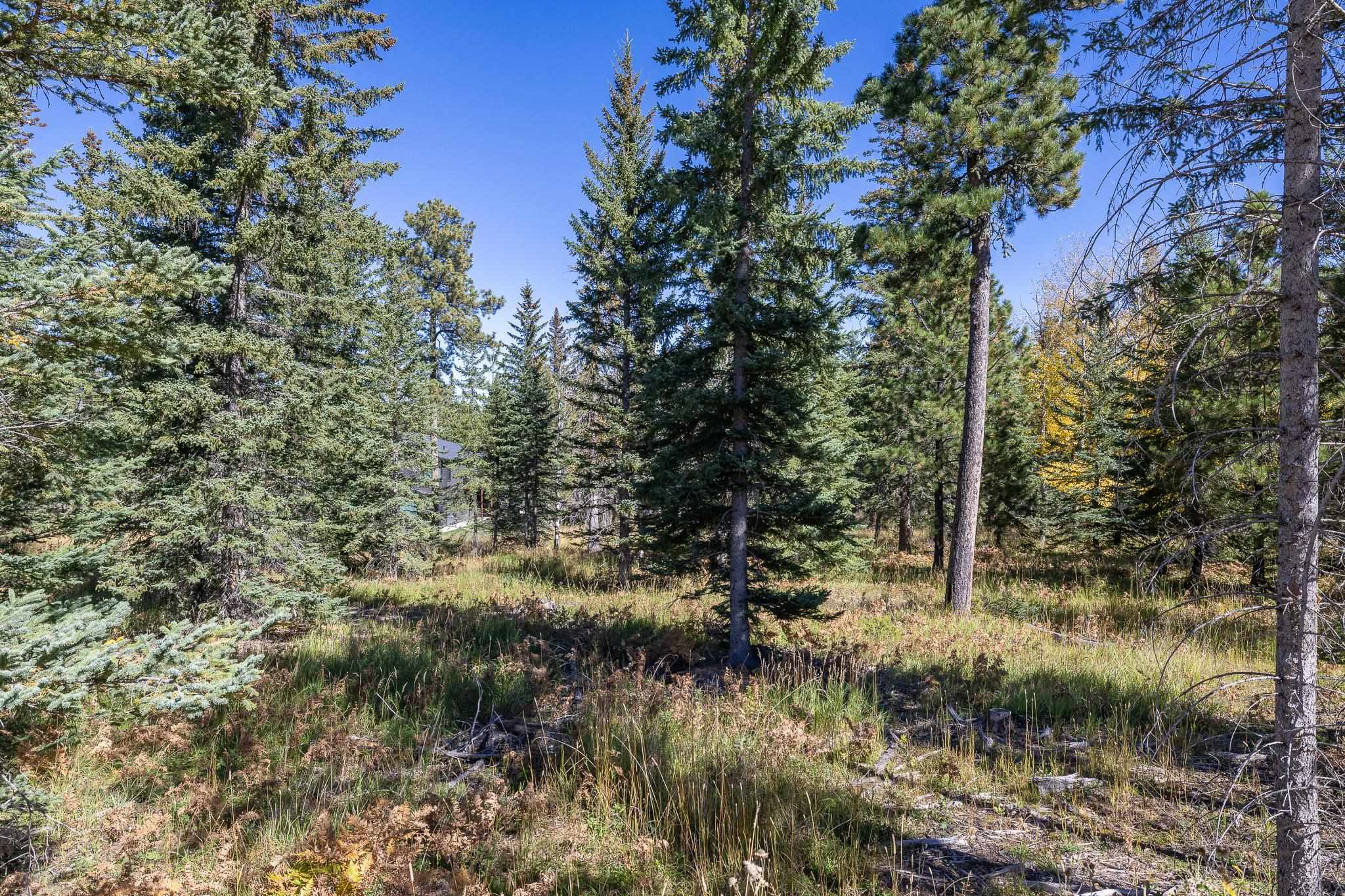 TBD Lot 35 Smokey Stoke Court