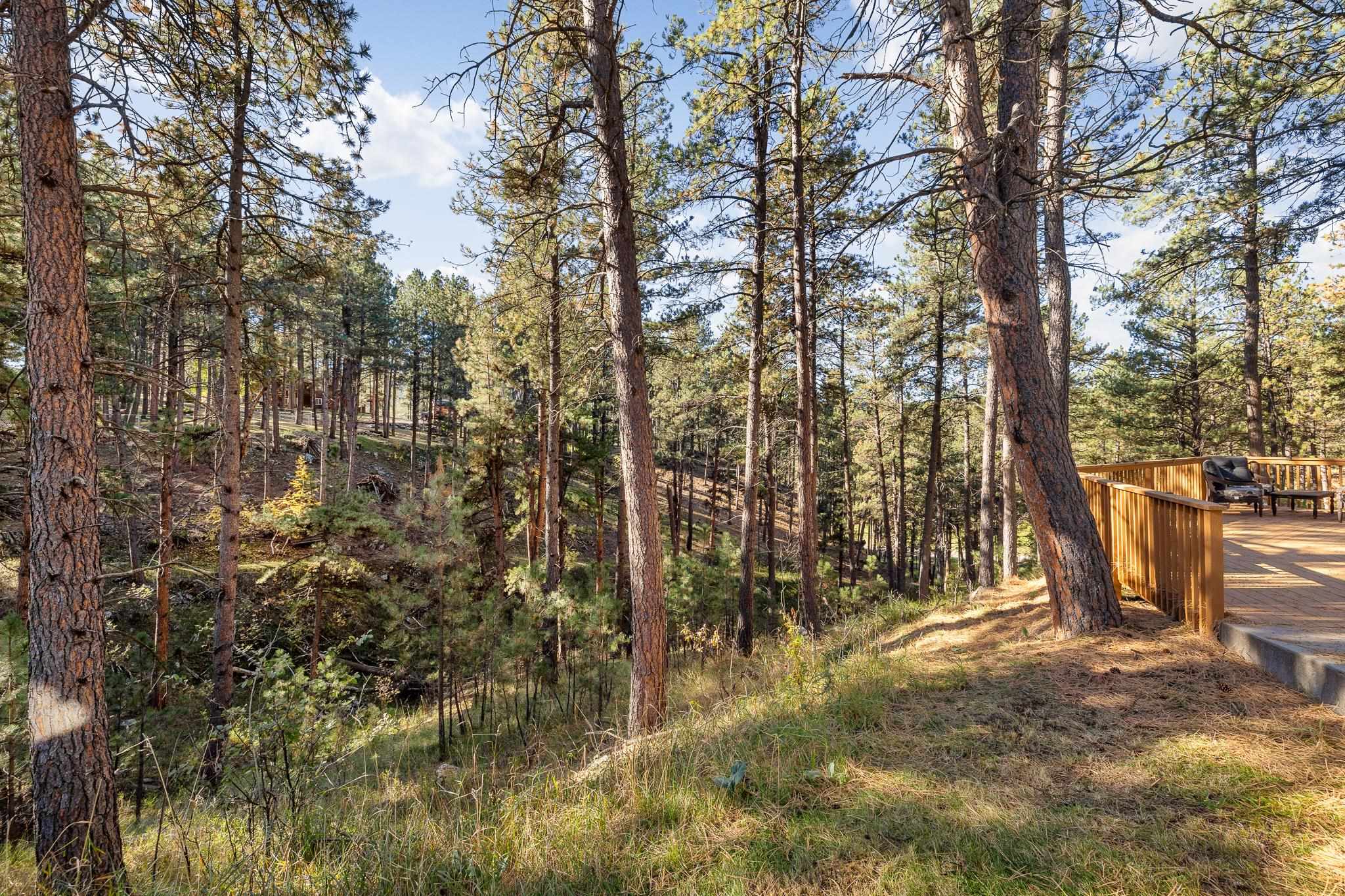 13025 Pine Cliff Drive