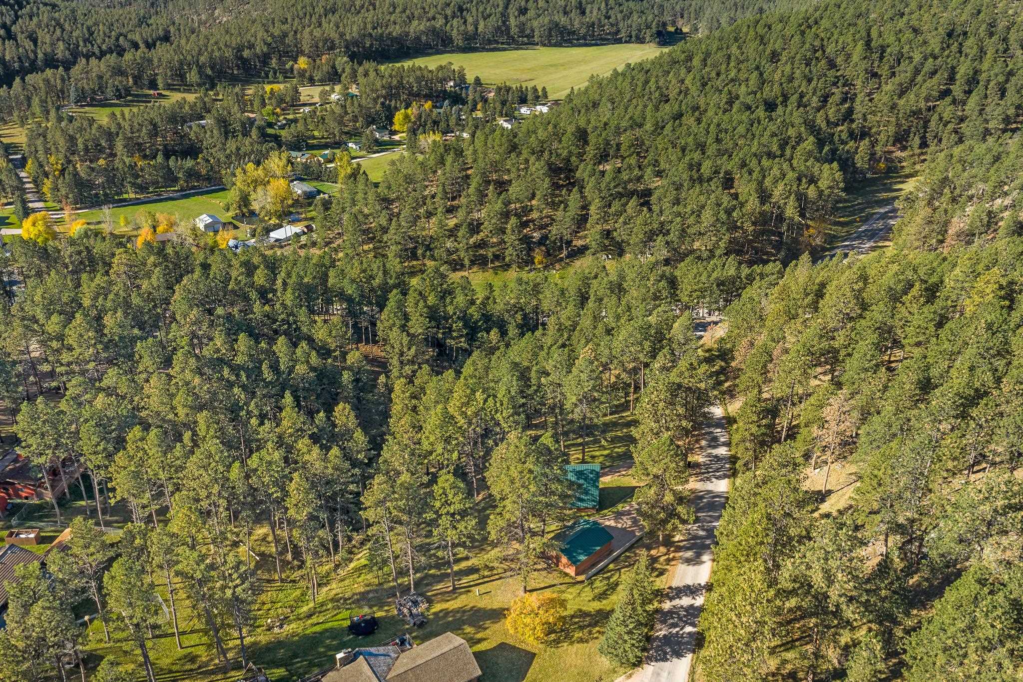 13025 Pine Cliff Drive