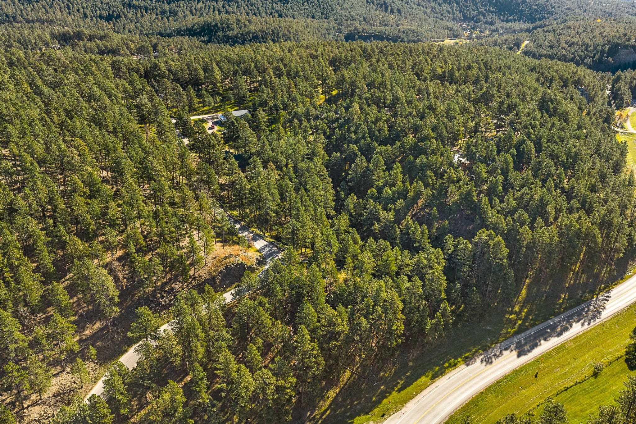 13025 Pine Cliff Drive