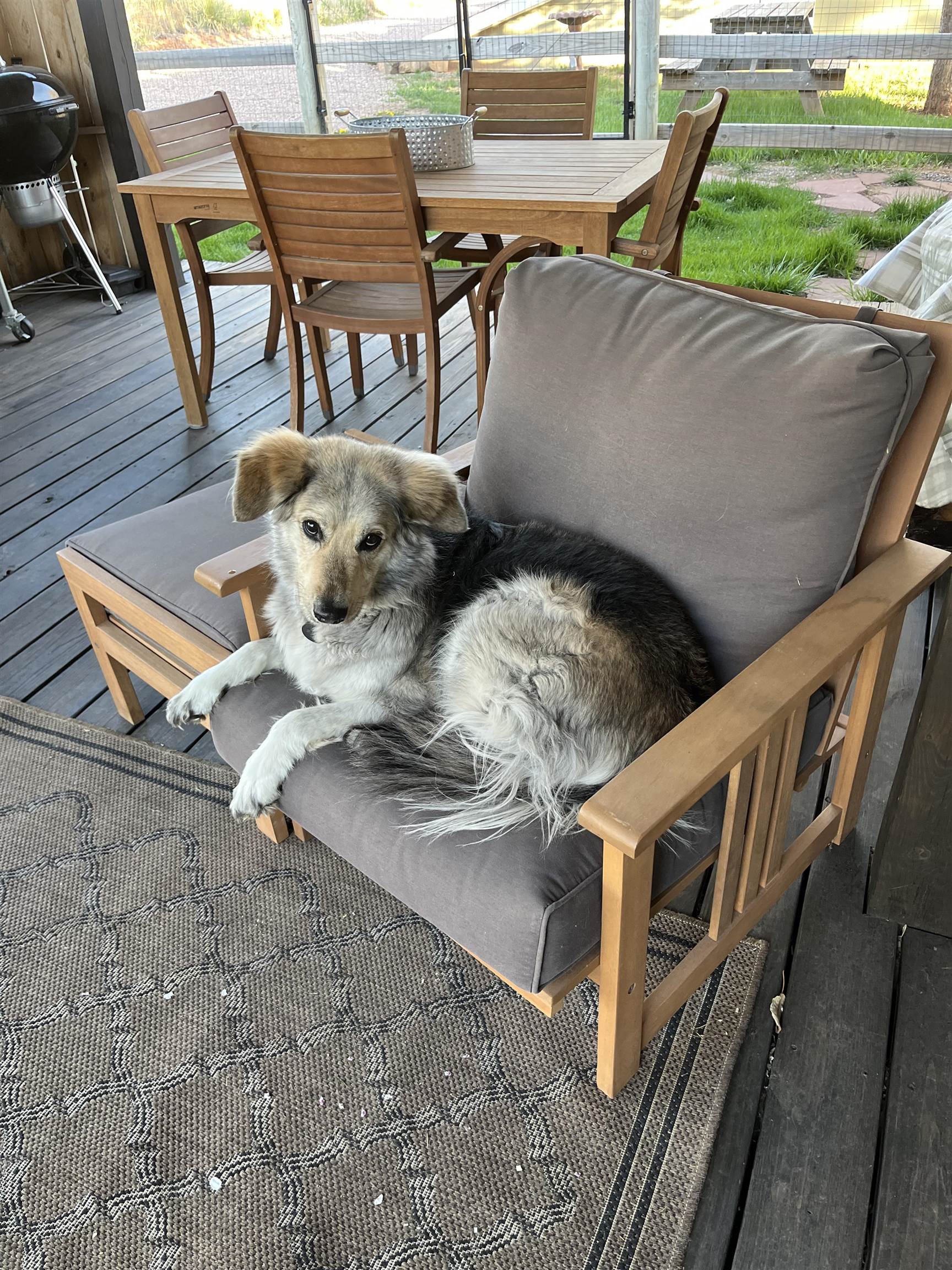 2741 Jenny Gulch Road