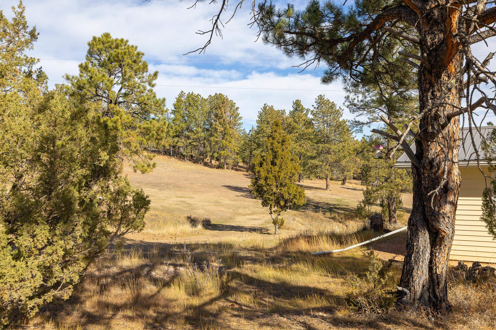 12762 Pine Haven Road