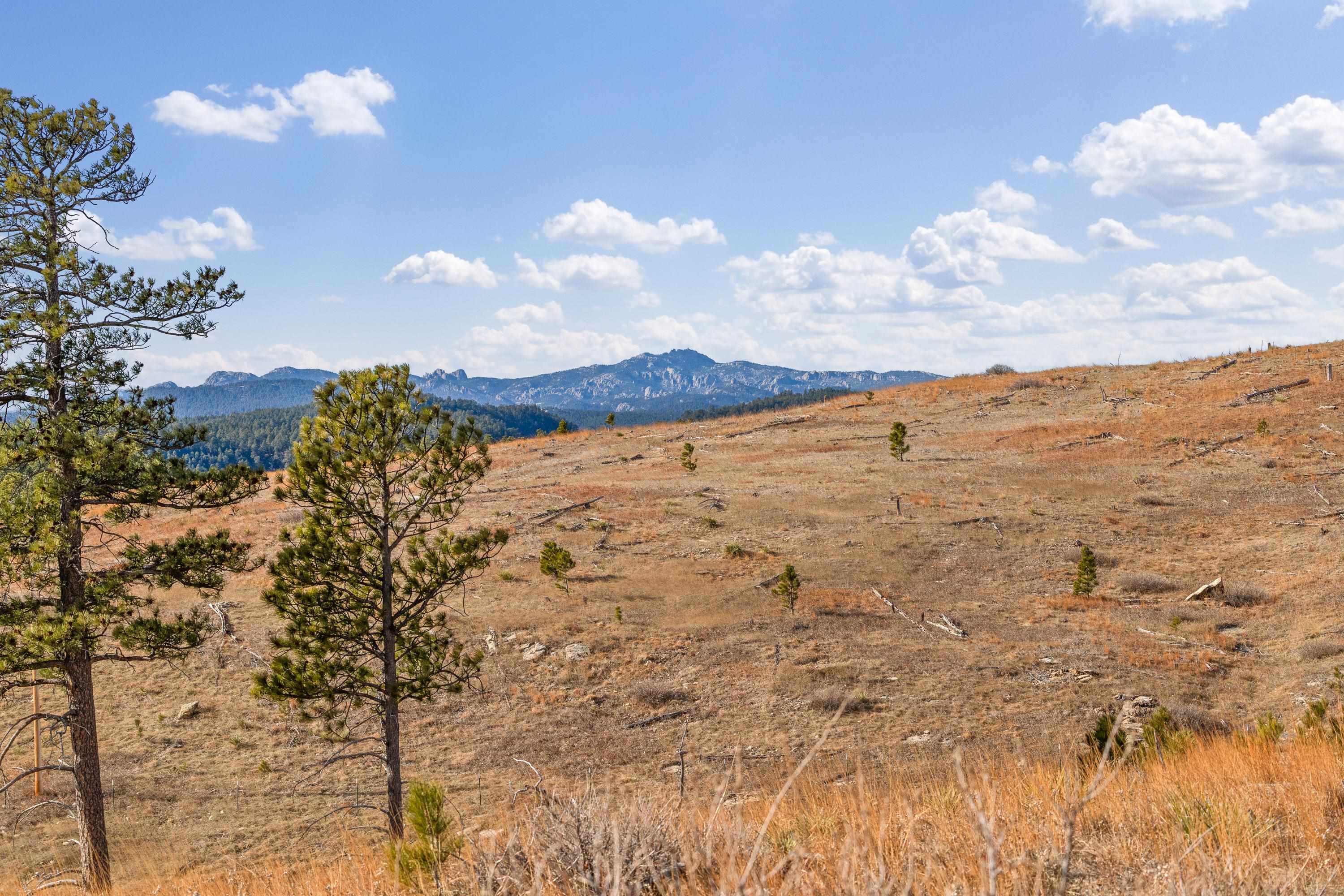 TBD Lot 3C Talon Trail