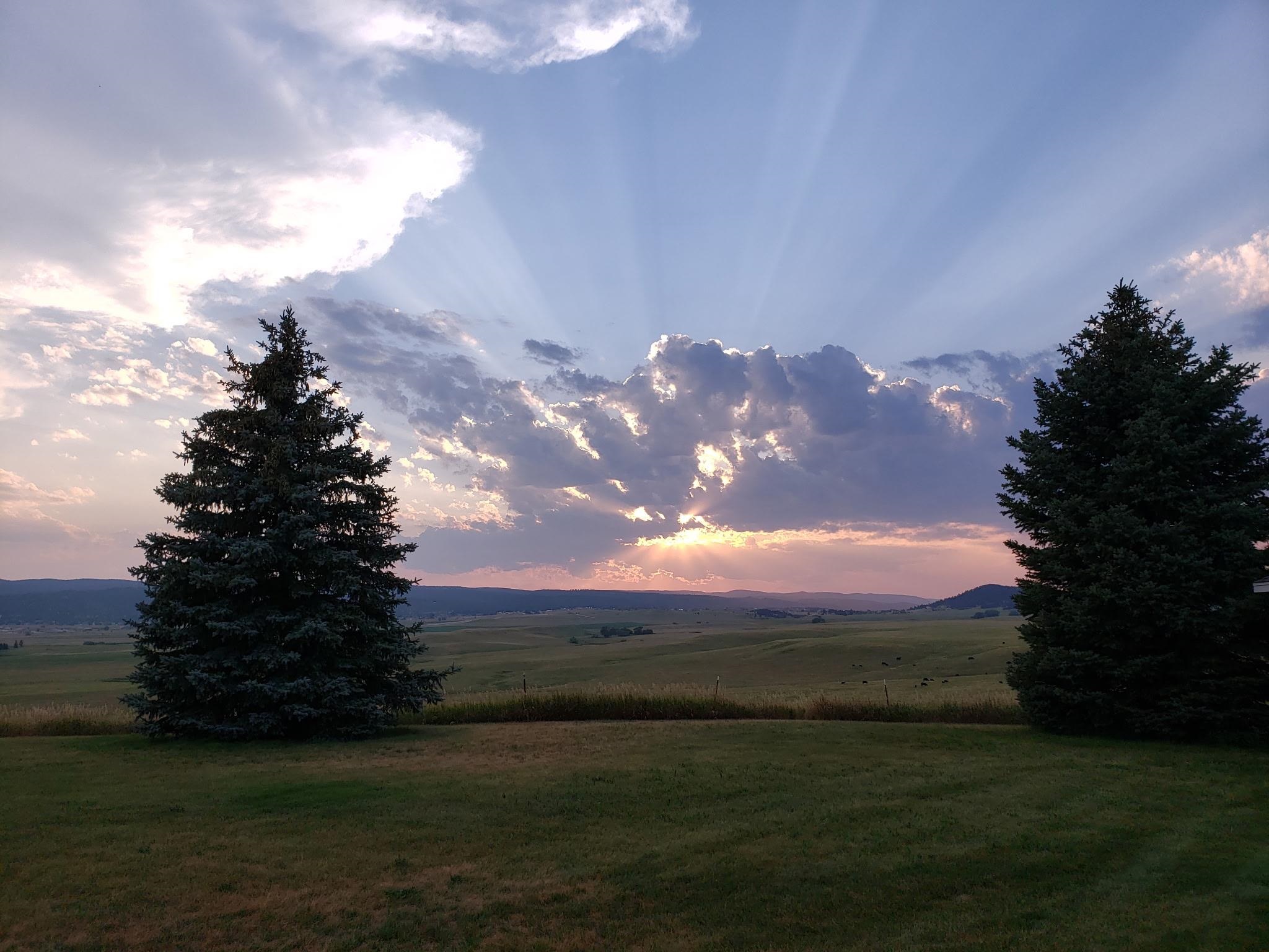 7999 Erickson Ranch Road