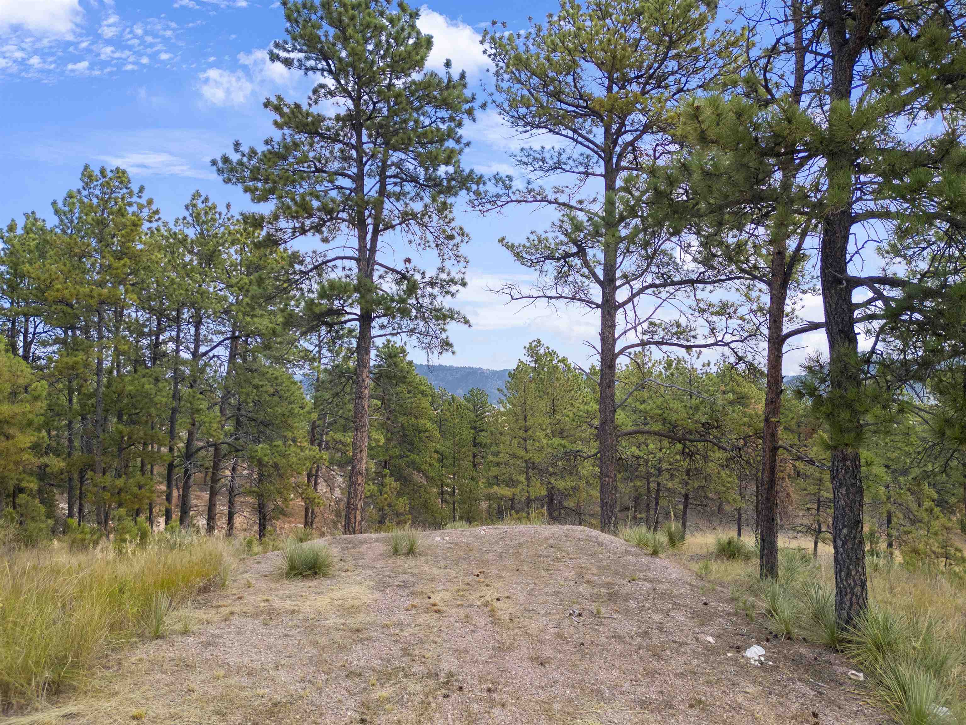 27546 Cascade Road
