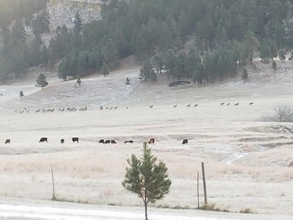 13929 Thistle Ridge Road