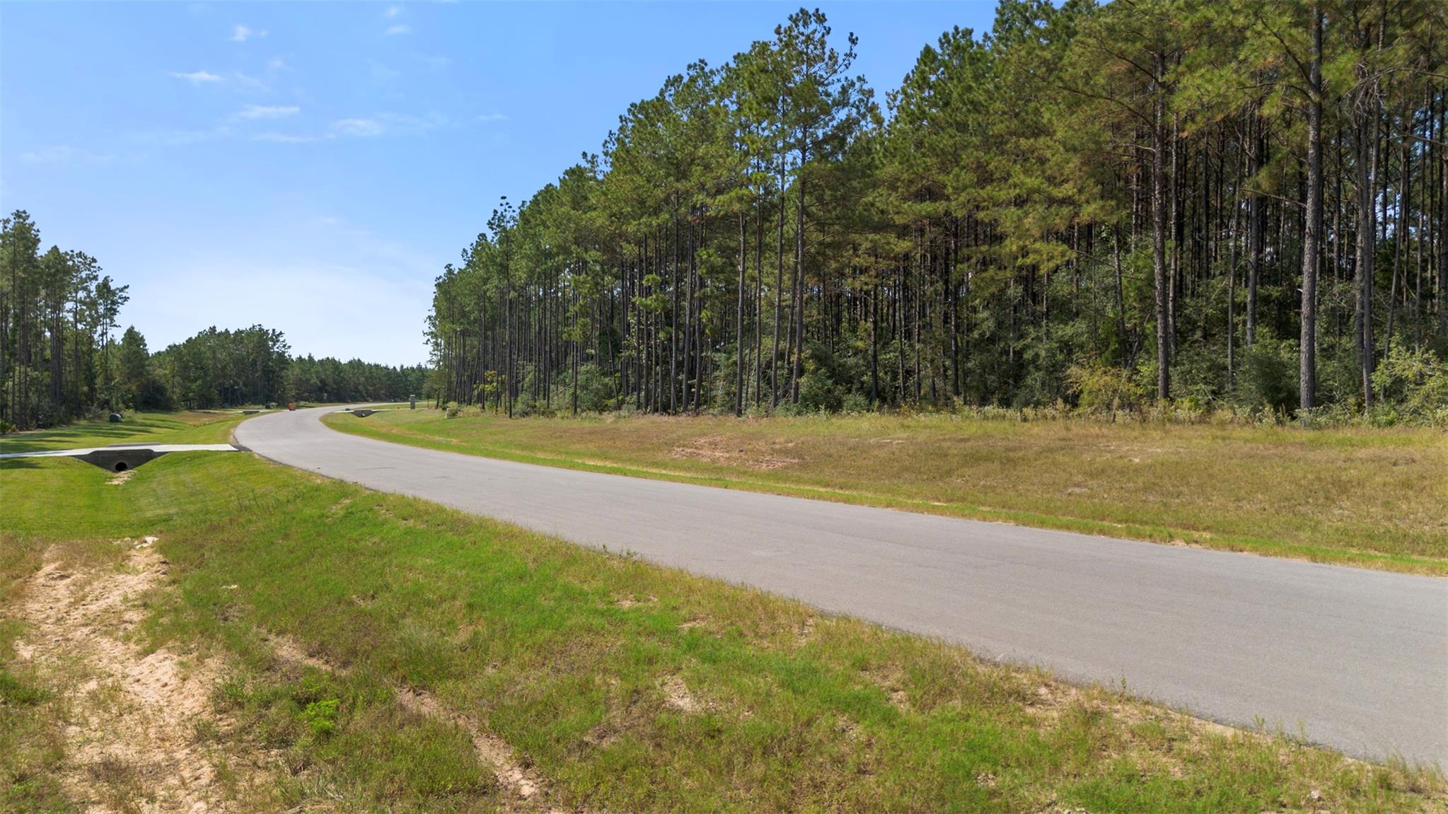 15896 Ridge Oak Road