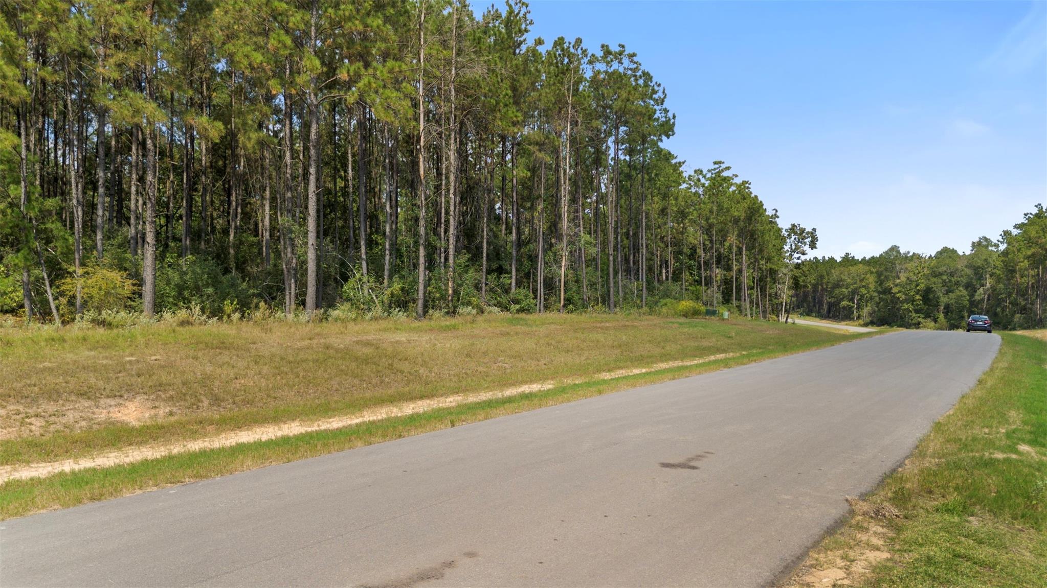15896 Ridge Oak Road