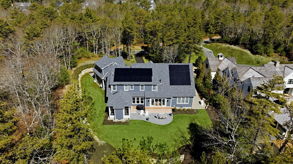 12 Talcott Pines
