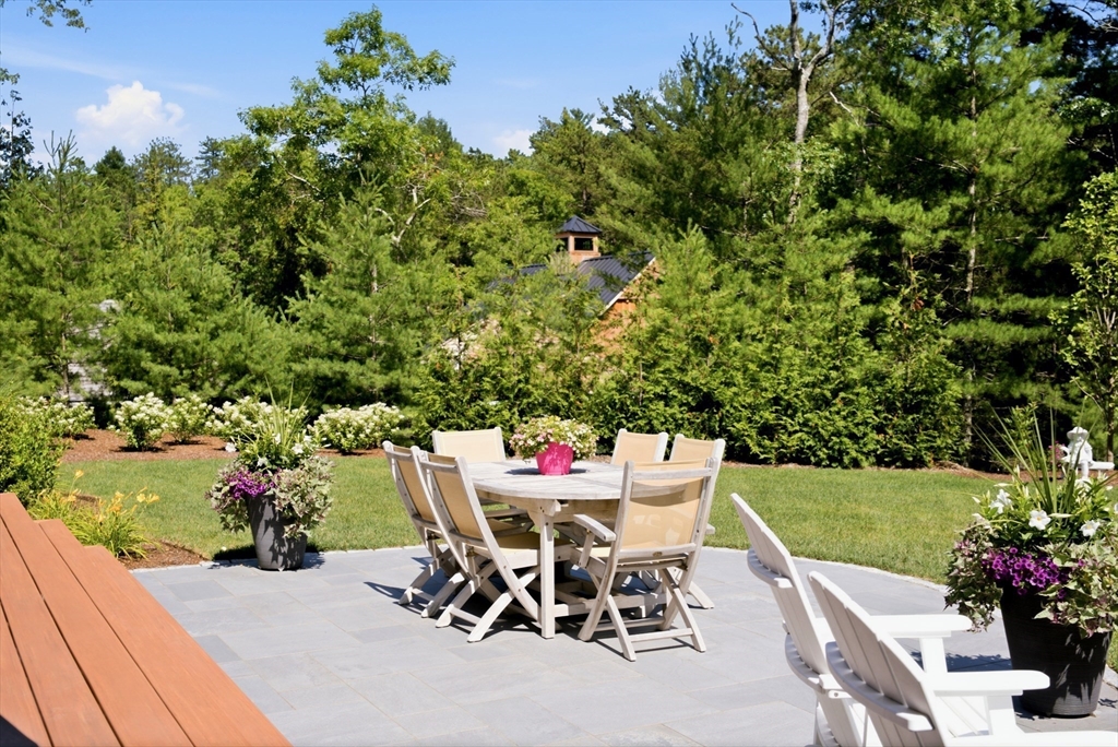 12 Talcott Pines