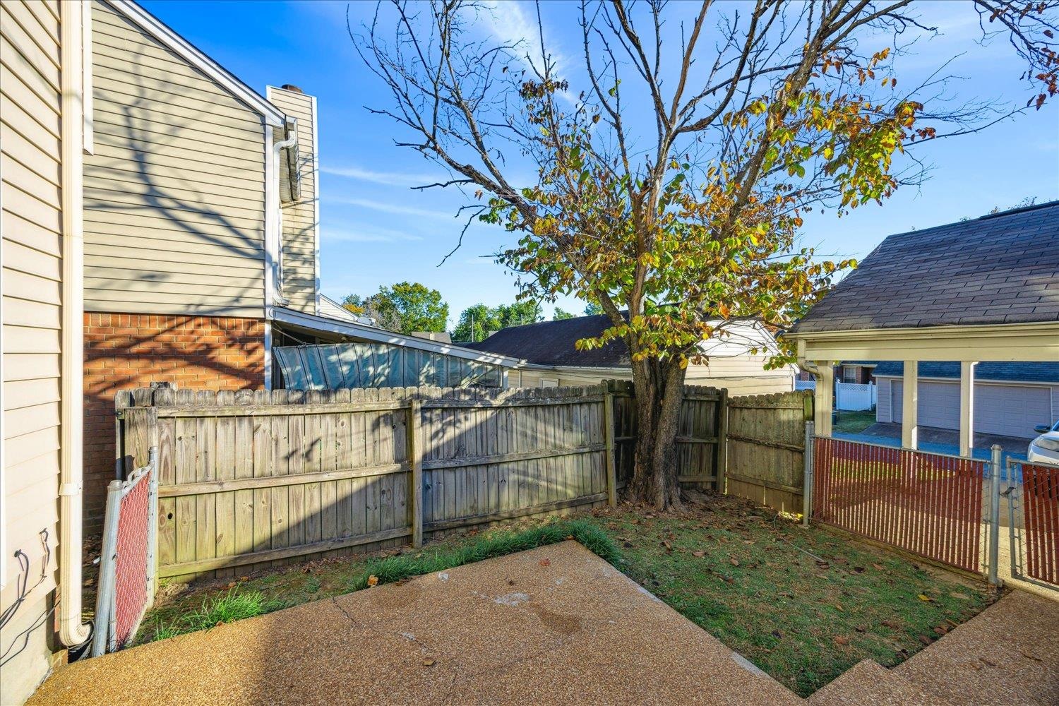 Fenced backyard with a concrete patio and mature tree with sparse autumn leaves.
