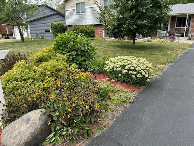 2890 Torchwood Drive