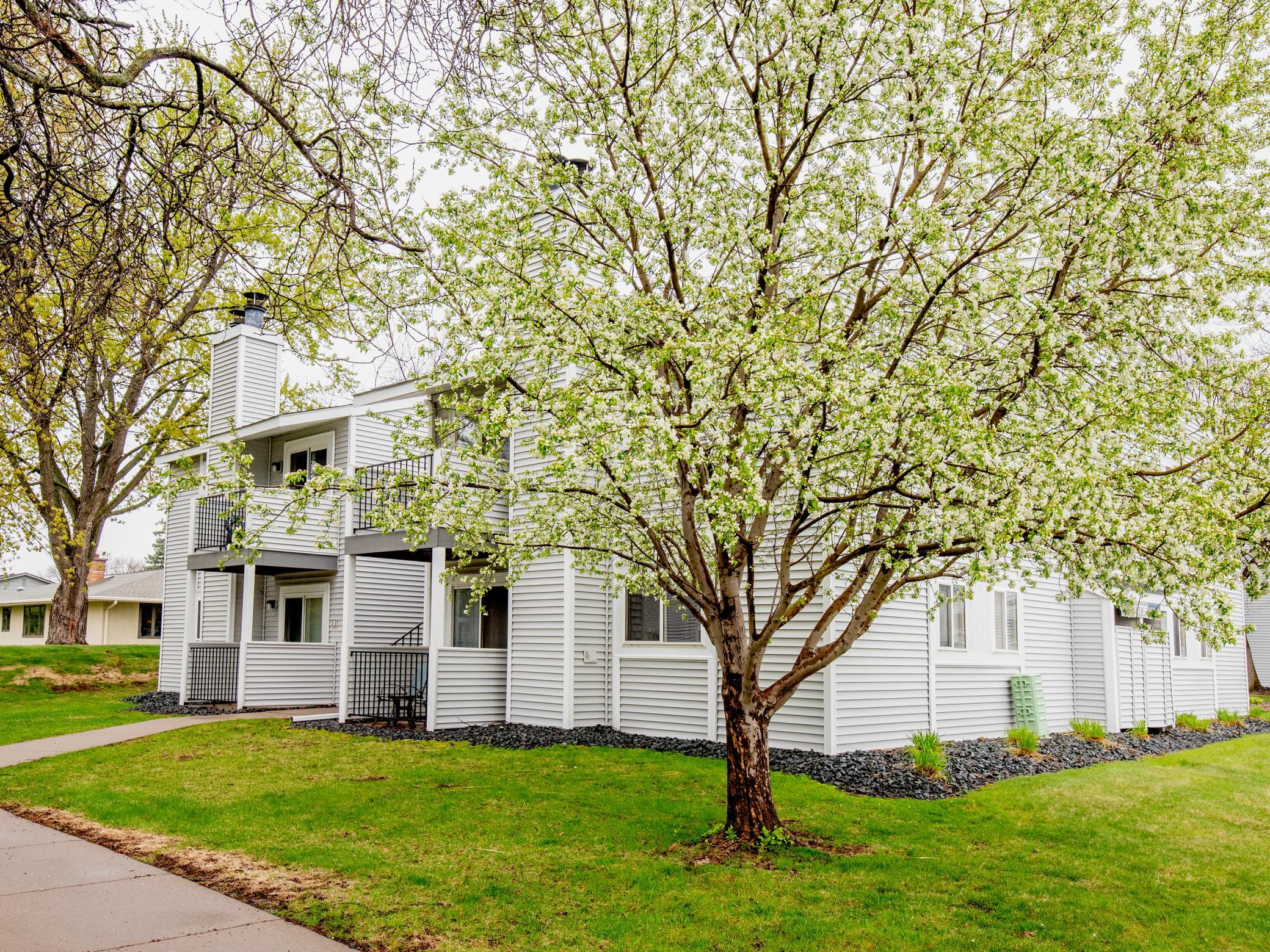 1736 Pleasant Street Unit: A