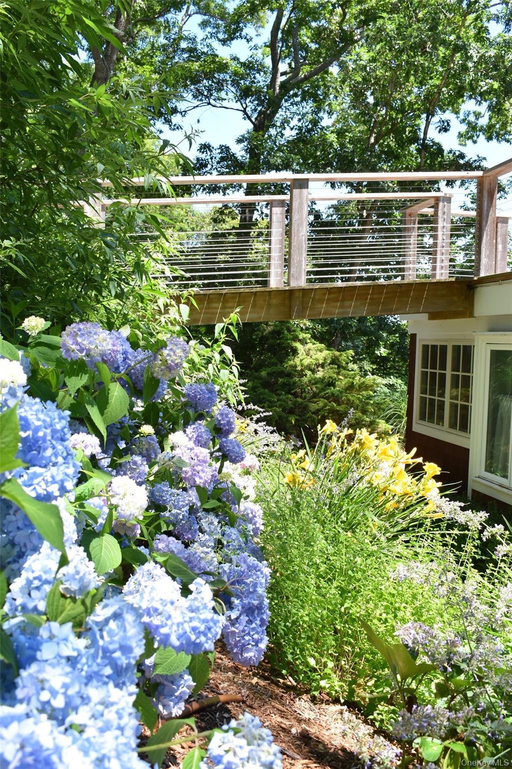 33 Peters Path