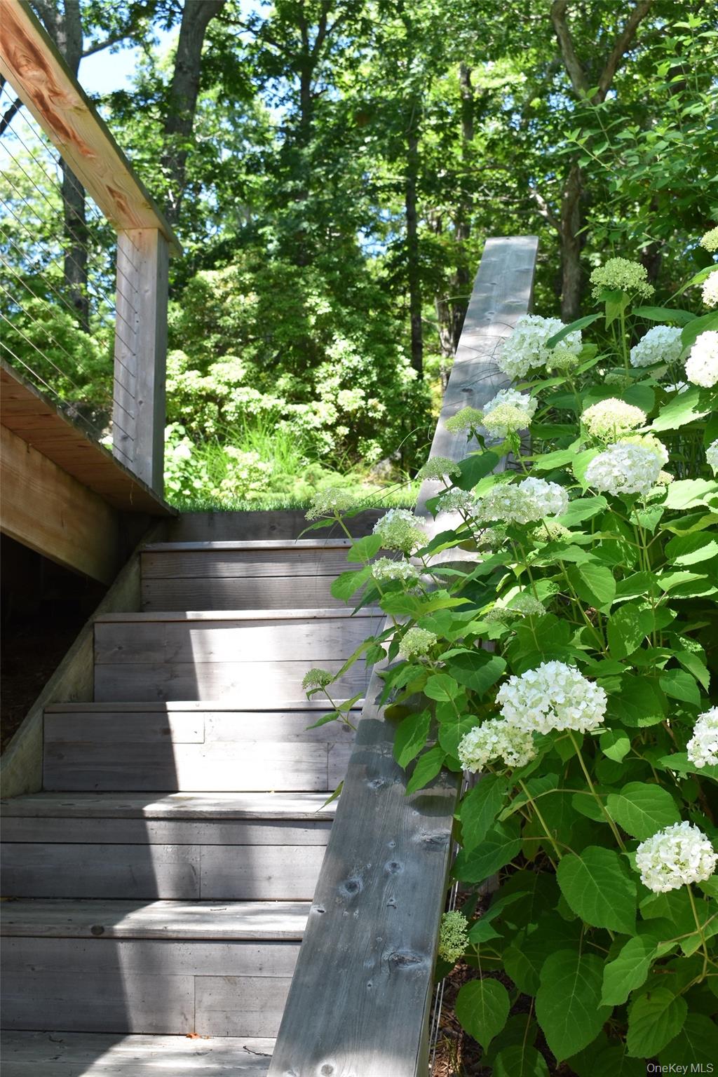 33 Peters Path