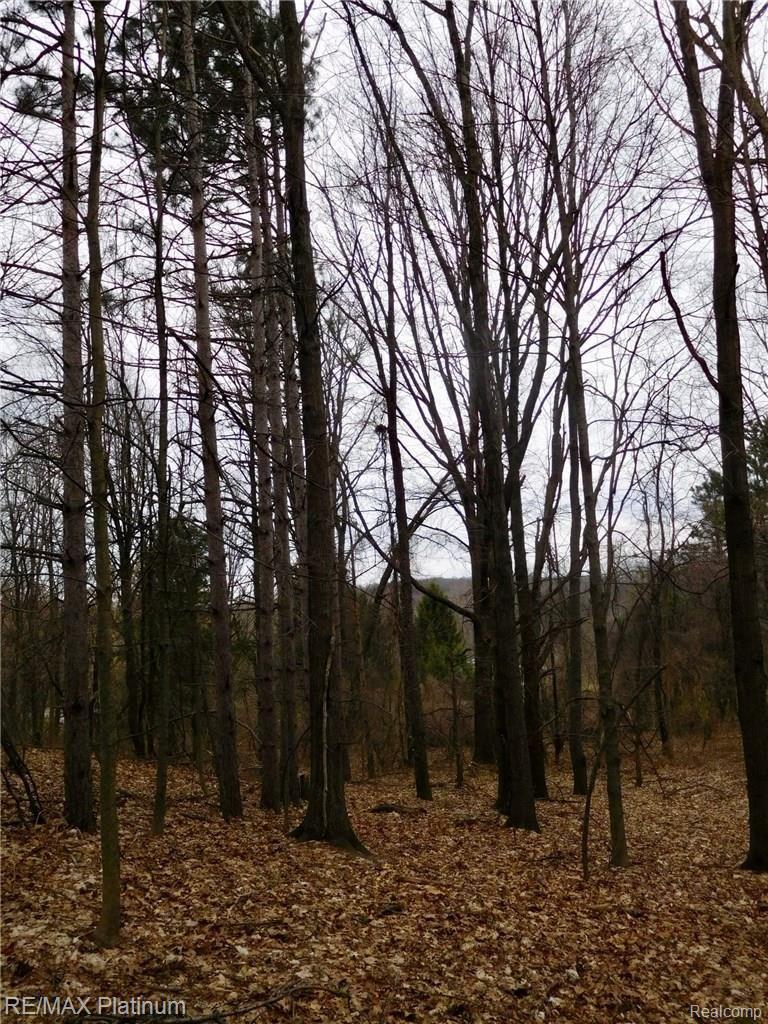 000 W BUNO Road