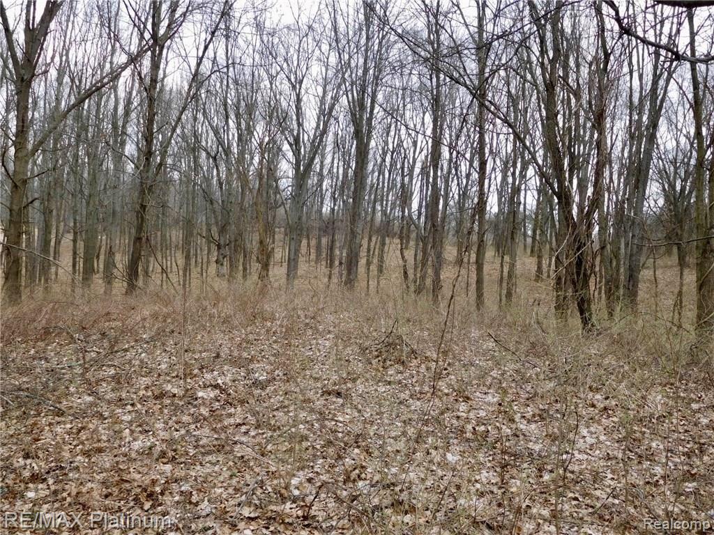 000 W BUNO Road