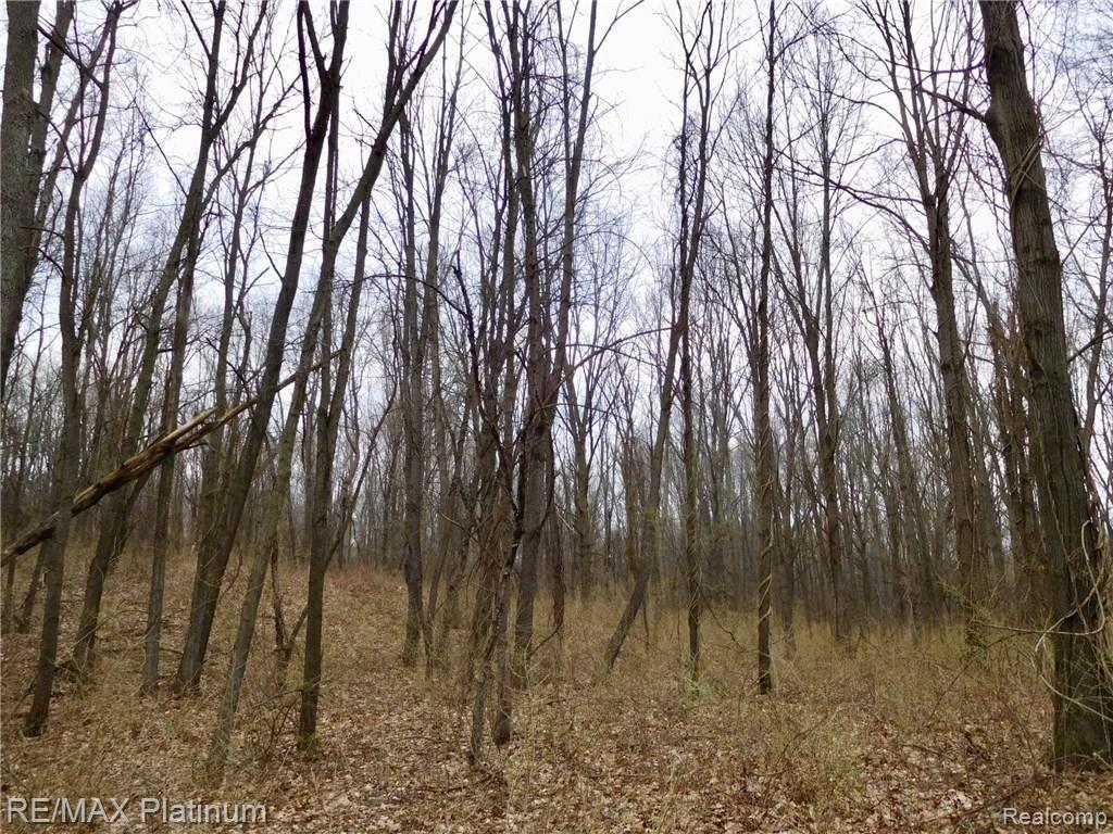 000 W BUNO Road