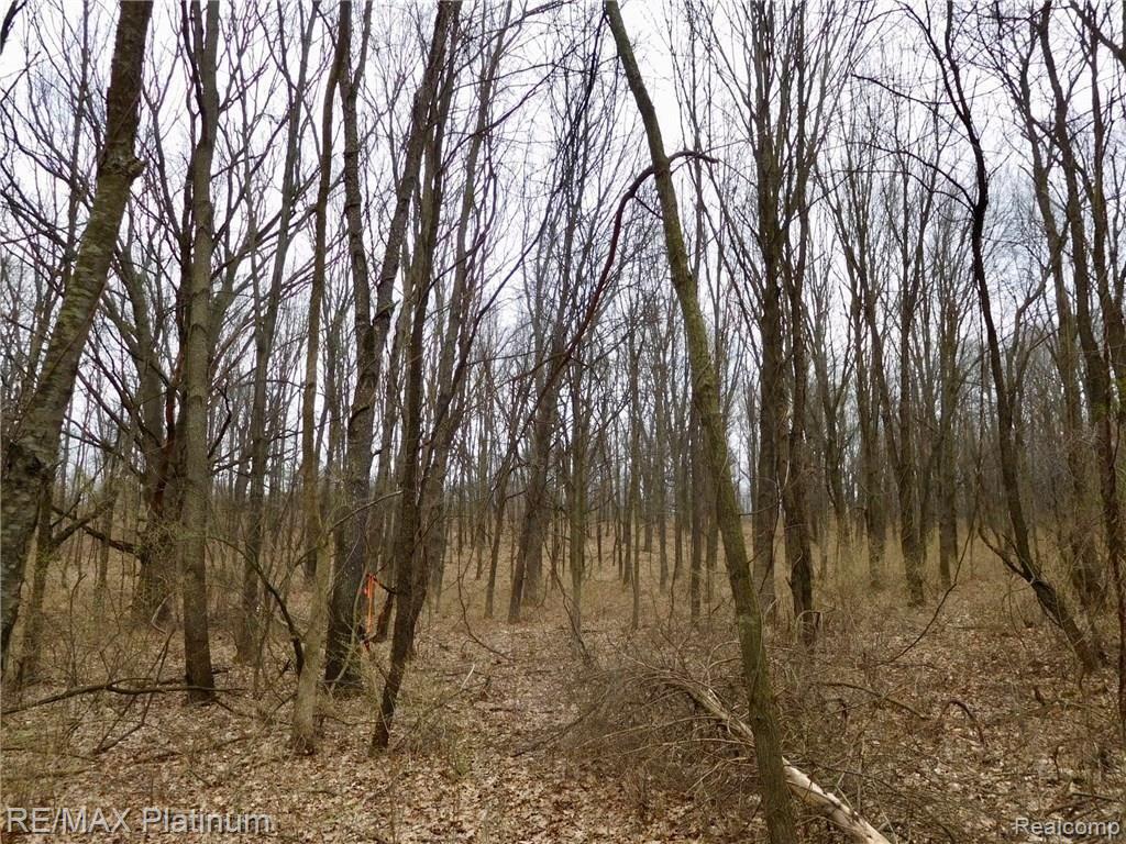 000 W BUNO Road