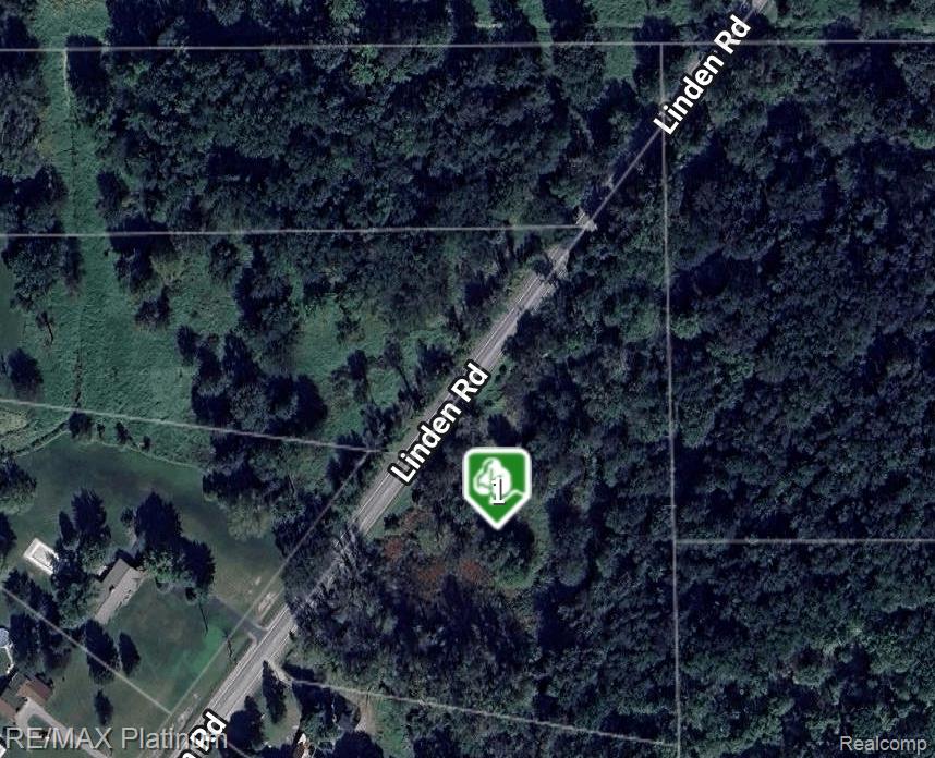 Aerial view of wooded property along Linden Road, marked with a green location pin.