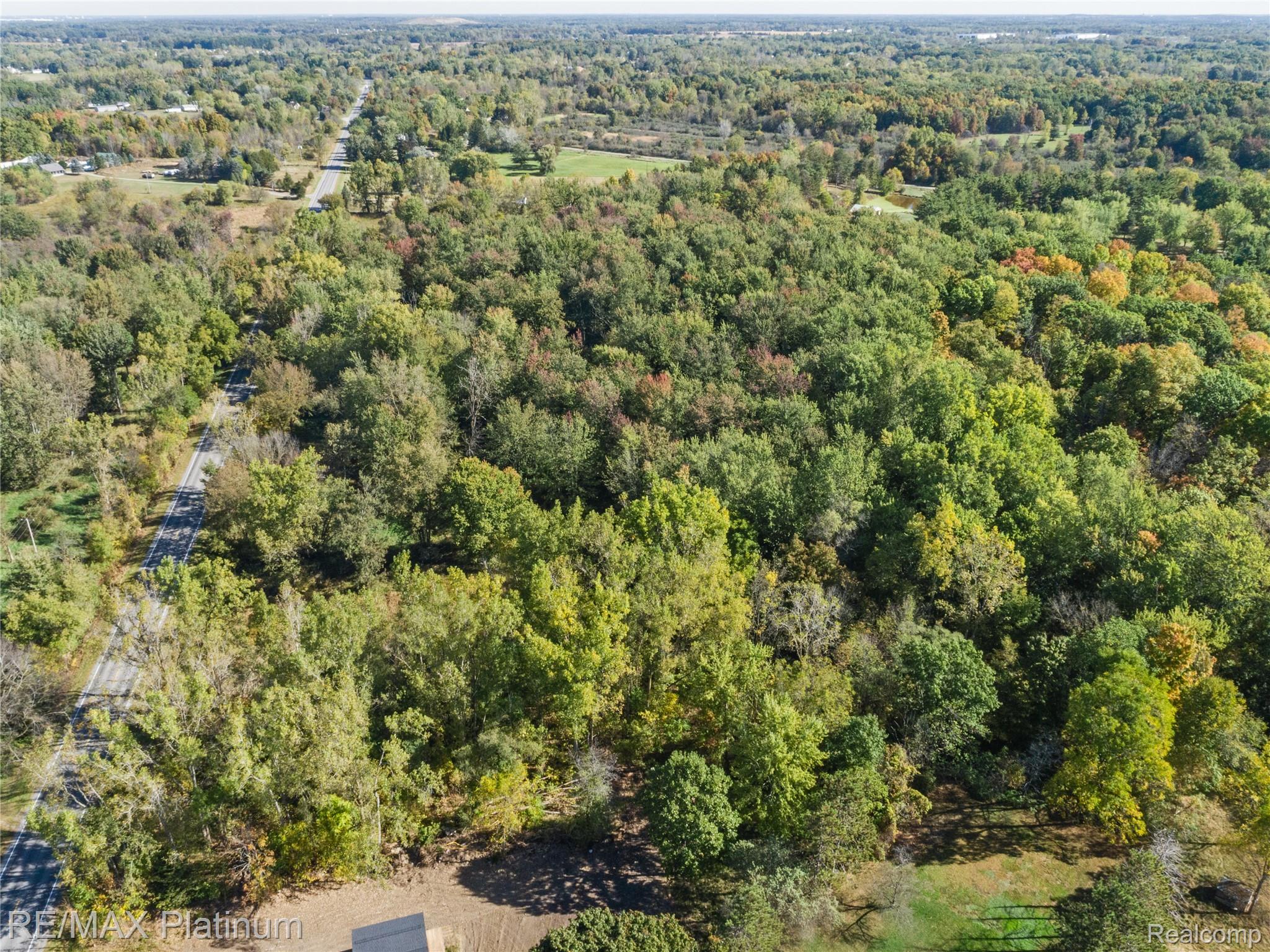 Aerial view of wooded vacant land beside a road, with scattered autumn-colored trees.