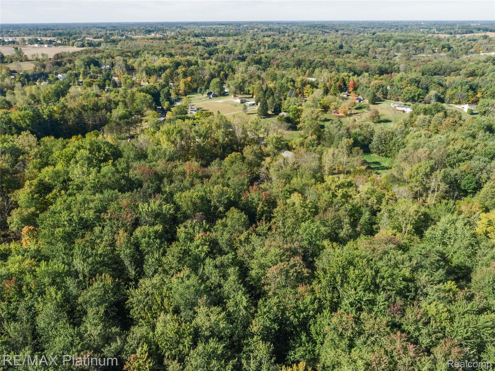 Aerial view of dense woodland with scattered homes and lawns in the distance.