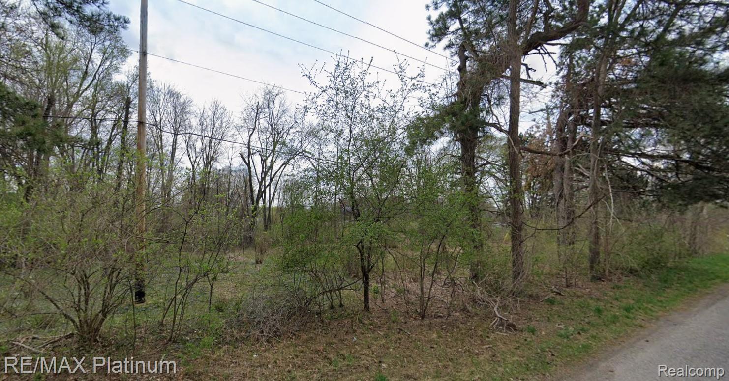Wooded vacant lot beside a paved road, with utility lines overhead.